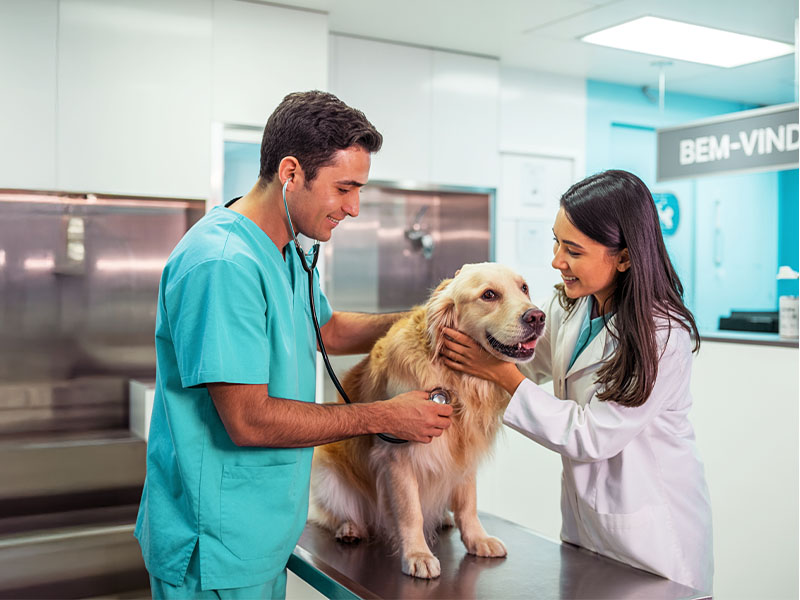 clínica veterinária humanizada