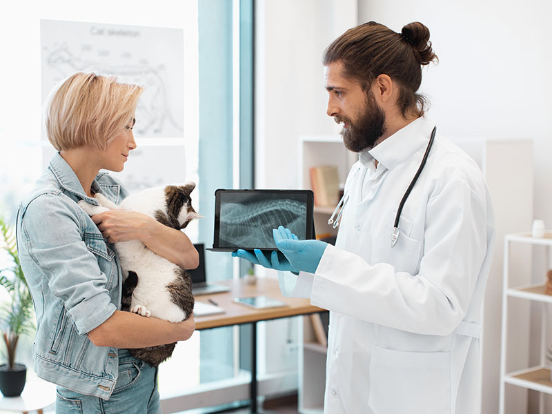 tecnologia na veterinária